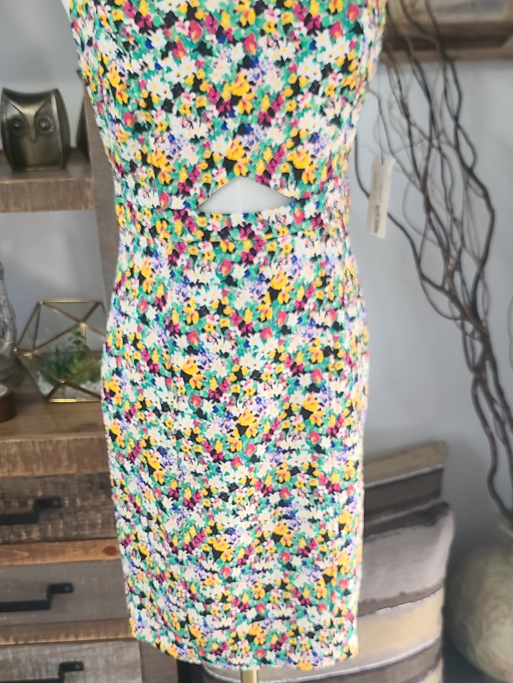 Ronson Floral Cutout Sleeveless Sheath Dress - Picture 3 of 11